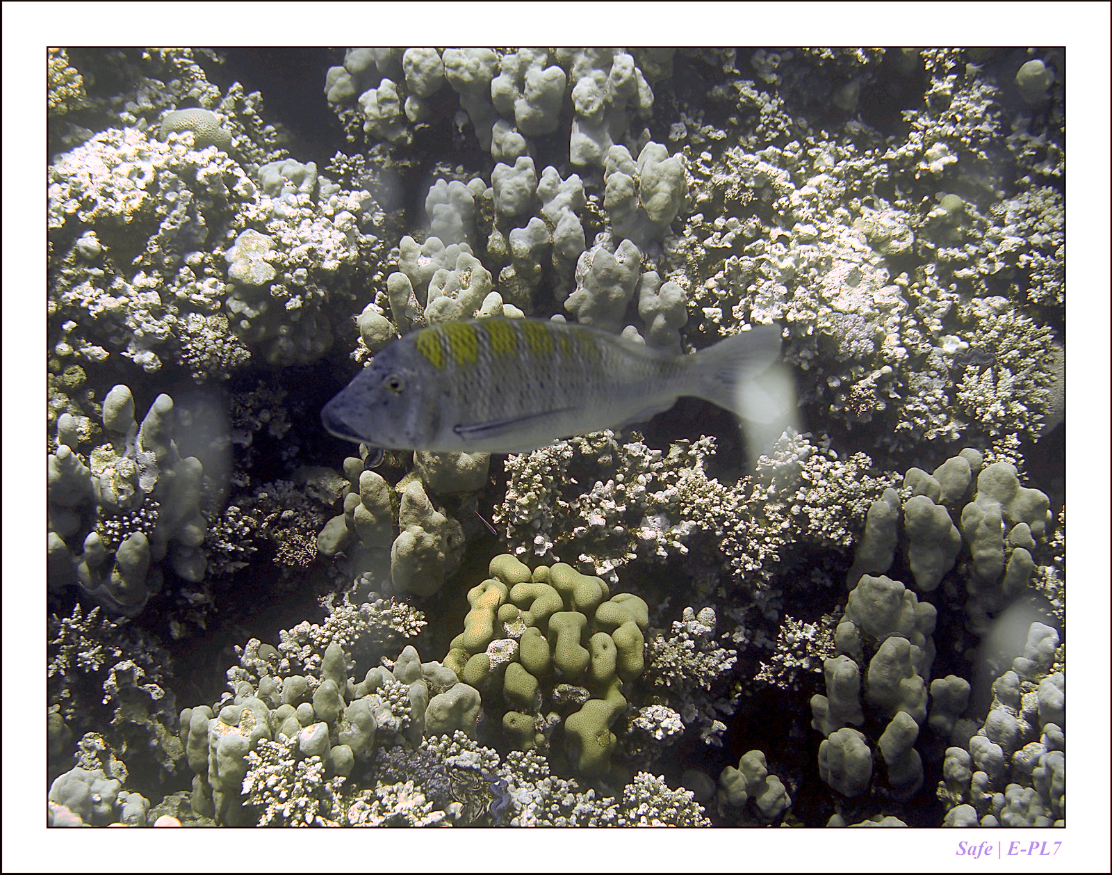 Hurghada - Juillet 2021 - 084